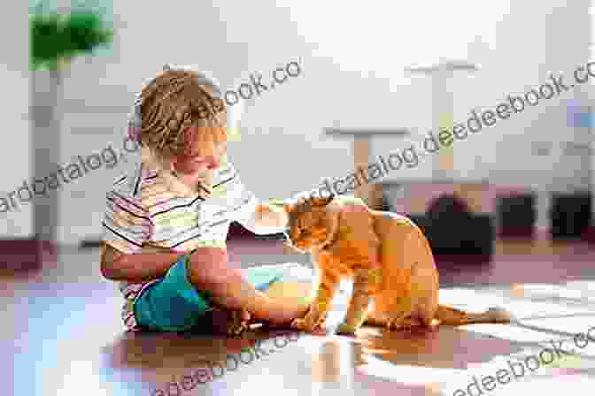 A Group Of Children Playing With A Cat Aidy Tats Cats: The Joy Of Adopting Cats An Extremely Entertaining Rhyming For Children Aged 3 5
