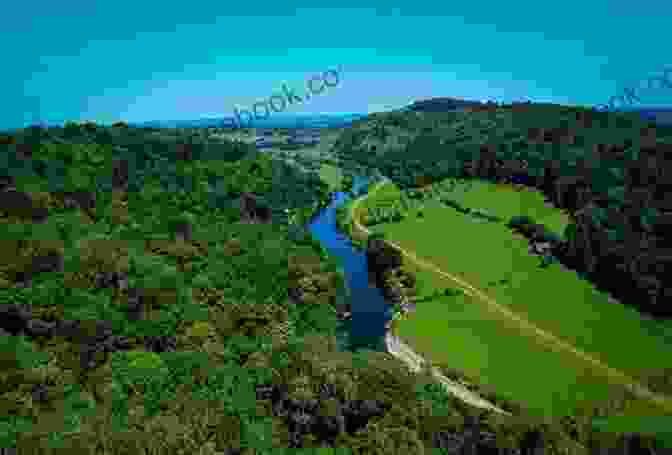 A Panoramic View Of The Forest Of Dean, Showcasing Its Lush Greenery And Rolling Hills Forest Of Dean The Wye Valley (including Gloucester Hereford England Monmouth Wales) Travel Guide Sightseeing Hotel Restaurant Shopping Highlights (Illustrated)