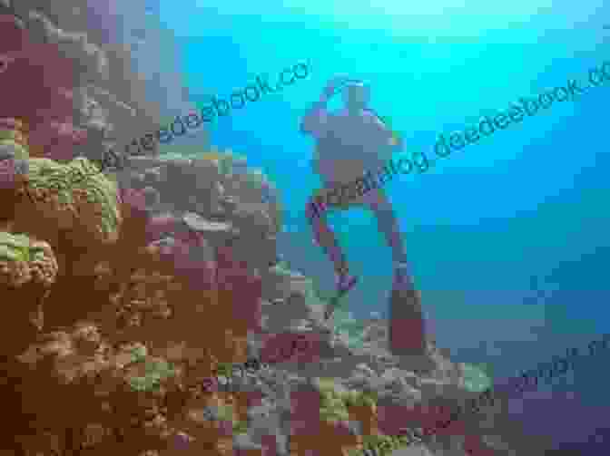 A Scuba Diver Explores The Depths Of The Great Barrier Reef. Treasures Of The Barrier Reef