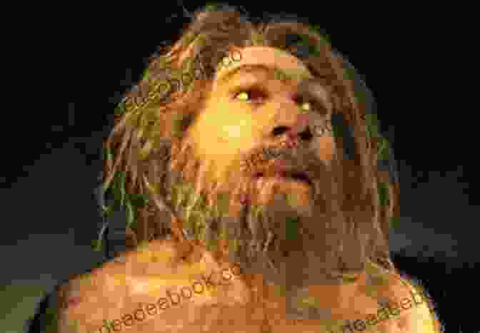 Artistic Reconstruction Of Andy, A Neanderthal Man Found In The Atapuerca Mountains Of Spain, Based On Fossil Evidence Lucy Andy Neanderthal: The Stone Cold Age (Lucy And Andy Neanderthal 2)
