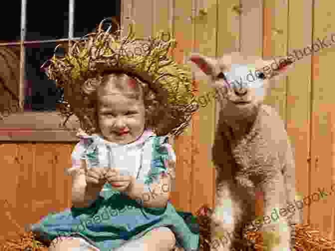 Mary And Her Little Lamb Jack And Jill And Other Nursery Favourites (Time For A Rhyme)