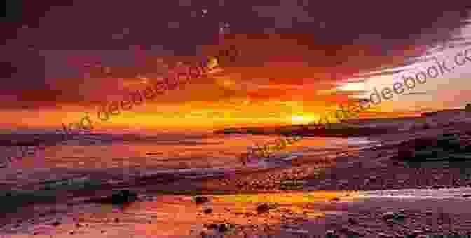 Photographer Capturing The Golden Hour Sunset At Seagrove Beach, South Carolina A Seagrove Christmas (South Carolina Sunsets 6)