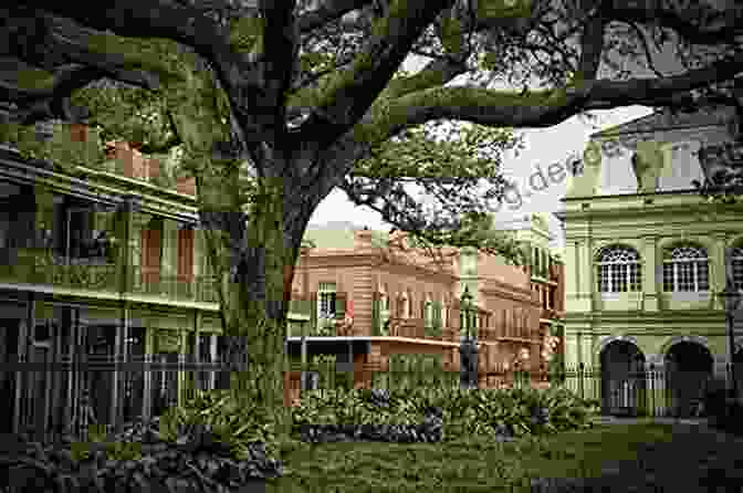 Romantic Hotel In New Orleans For Honeymooners Honeymoon In New Orleans (The Librarians 3)