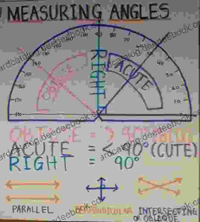 Students Using Protractors To Measure Angles In A Geometry Class The Definitive Guide In Math For High School