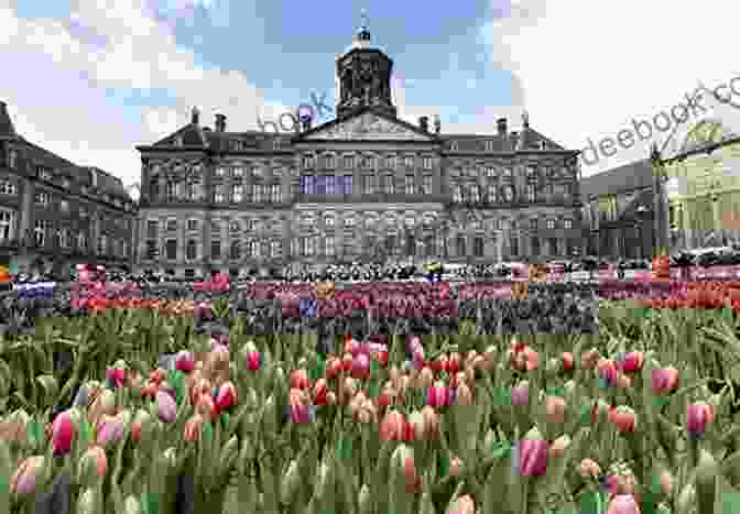 The Royal Palace In Amsterdam A Guide To Haarlem: Visiting Holland S Golden Age