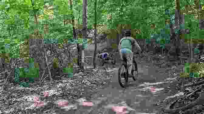 The Scenic Hiking And Biking Trails At The Hog Hotel The Hog Hotel Course Hero