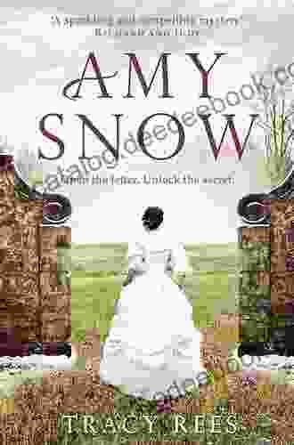 Amy Snow: A Novel Tracy Rees