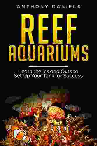 Reef Aquariums: Learn The Ins And Outs To Set Up Your Tank For Success