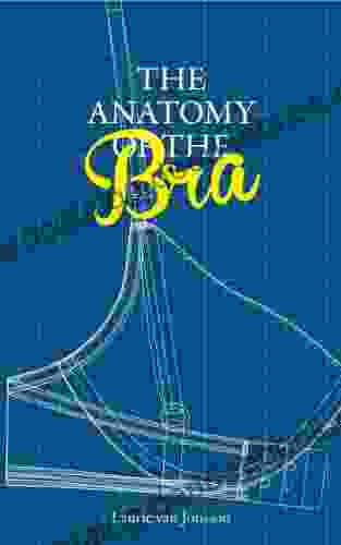 The Anatomy Of The Bra