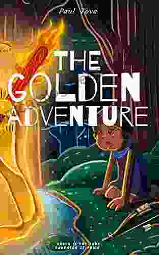 The Golden Adventure Barbara Barbieri McGrath