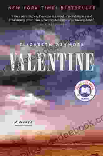 Valentine: A Novel Elizabeth Wetmore